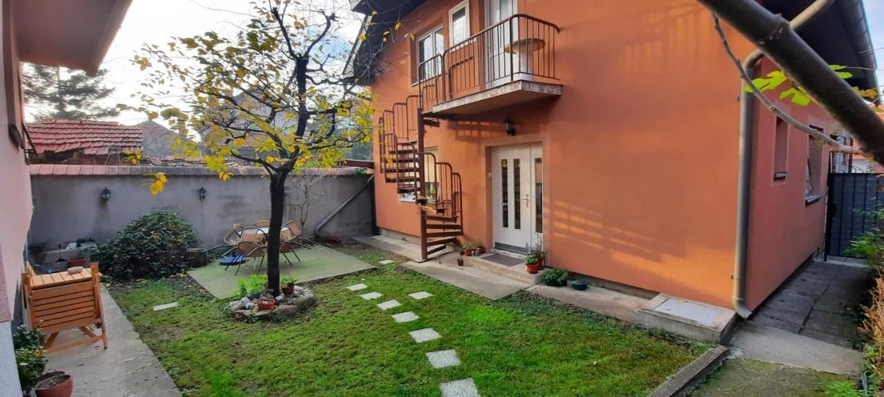 Apartman Carpe Diem 2 Зайечар Екстериор снимка